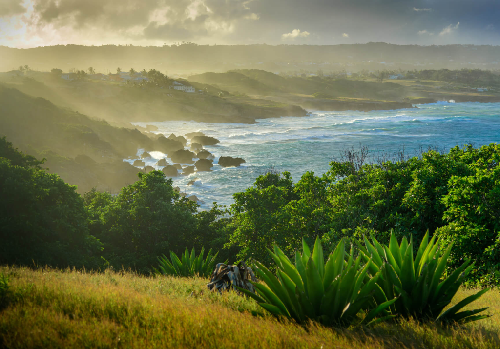 Barbados property on the East Coast